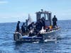 Rescuers load the adult whales on a boat and release them in the Gulf of Mexico. 