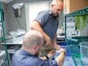 ZooTampa’s herpetology team spent several hours counting and packing the tadpoles into protected shipping boxes for their journey. 