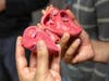 The USF Health Morsani College of Medicine is using sophisticated 3D printers to create realistic human organs to teach surgical techniques.