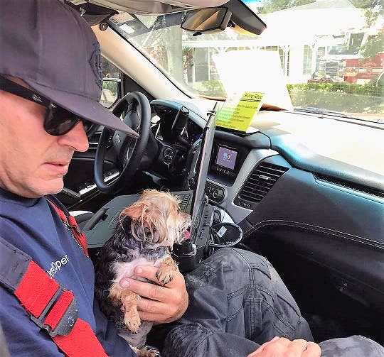 Dogs Die In Hot Car At Pet Clinic After Being Rescued From Fire ...