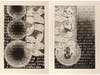 Jasper Johns (American, b. 1930), Fragment of a Letter, 2010. Intaglio on paper. 44 7/8 x 30 ½ inches, each of two. A.P. 3/12. Collection Walker Art Center, Gift of the artist, 2011. © Jasper Johns/VAGA at Artists Rights Society (ARS), NY.