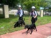 A team of four search-and-rescue dogs from Tampa Bay are in Surfside helping to search for victims. 