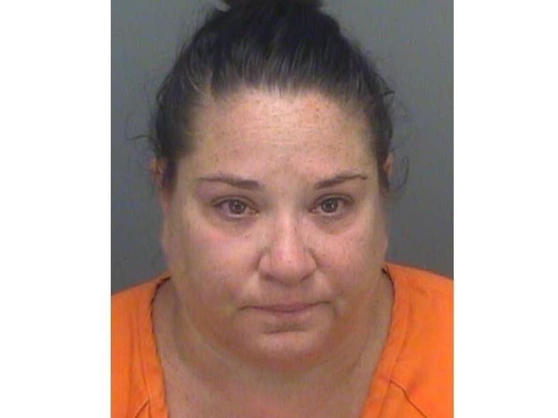Detectives with the Pinellas County Sheriff's Office arrested Elise Minzer, 46, of 8140 129th St. N., Seminole, and charged her with one count of scheming to defraud.