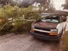 Tampa public works crews were called out to help remove several downed trees including this tree that crushed a vehicle parked on a neighborhood street.