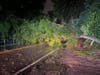 Downed trees made roads impassable throughout Hillsborough County.