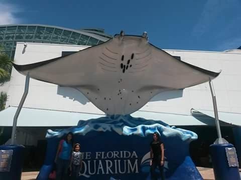 The veterinary team at the aquarium is conducting more tests to try to determine the cause of the death. 