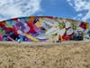 The first summer mural completed in May was the vibrant display of flowers by Austin-based artist DAAS, which can be seen from the southwest corner of Myrtle Avenue and Franklin Street.