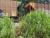 A 16-year-old boy suffered serious injuries Thursday when he walked across the railroad track near McMullen Booth Road.