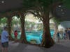 An artist's rending shows the transformation of Winter the dolphin's former home into a manatee rescue and rehabilitation center. 