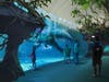 An artist's rending shows the transformation of Winter the dolphin's former home into a manatee rescue and rehabilitation center. 