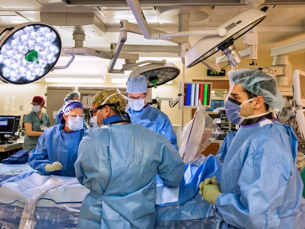 Tampa General Hospital said it will comply with the presidential order for all hospital employees to be vaccinated. 