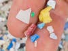 Polystyrene products quickly break down into microplastics that are a hazard to marine life. 