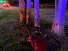 According to Clearwater police, at 10:29 p.m., Norman Winston, 32, was driving a 2010 Volkswagen north at a high speed on Bayshore Boulevard near San Mateo Street when he lost control of the car and crashed into some trees. 