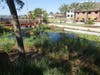 Tampa restored a natural spring next to Ulele and implemented a living shoreline feature along the existing seawall on the Hillsborough River. 