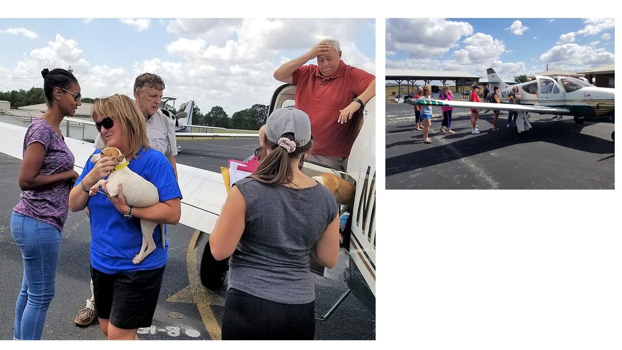 The cutline for this photo of pilot Michael Young jokes that he seems to be saying, "Om my gosh! Who put puppies in my plane!"