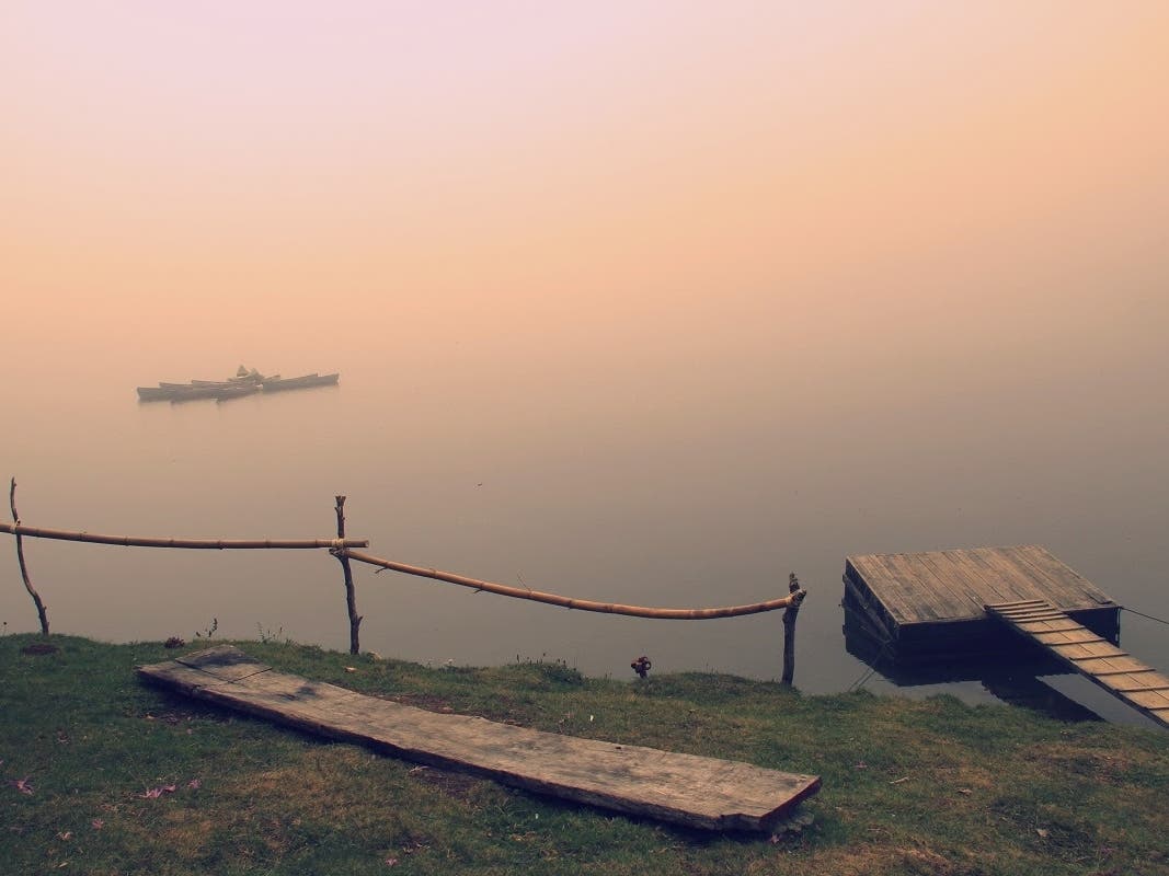 Lyza Sahertian's "Dreamy Fog #1" garnered first place in nature photography.