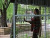 Carole Baskin inspects one of the cages used to hold Joe Exotic's tigers.