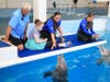 New Smyrna Beach resident Jim Savage, the man who rescued Winter, brought his disabled grandniece to the aquarium 14 years later to meet the dolphin.
