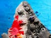 "A Lasting Legacy in Tampa Bay: Conservation Inspiration through Art" consists of 24 pieces of art by Hillsborough County public school students.