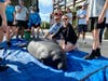 Florida Speaker of the House Chris Sprowls and Florida Rep. Josie Tomkow were on hand to watch as Baylo rejoined her friends after recovering from red tide poisoning. 