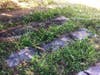 Memorial Park Cemetery was abandoned and the graves neglected. 
