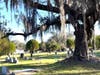 The city of Tampa announced it is taking over the maintenance of the Memorial Park Cemetery in East Tampa.