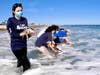 Six cold-stunned Kemp's ridley sea turtles were released by Clearwater Marine Aquarium staffers Wednesday on the East Coast of Florida. 