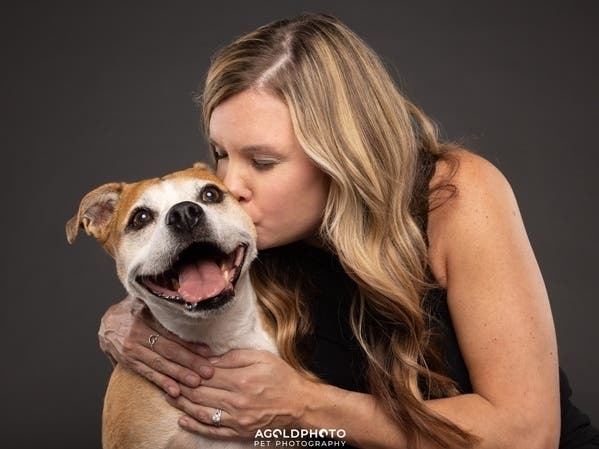 AGoldPhoto Pet Photo Studio is taking applications for its second coffee table took to benefit the Humane Society of Tampa Bay.