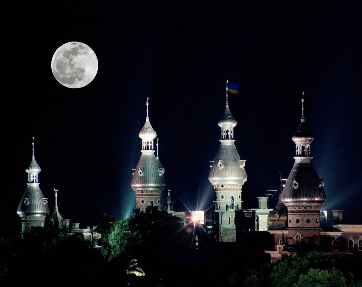 David Lubin took this photo of the University of Tampa minarets. 
