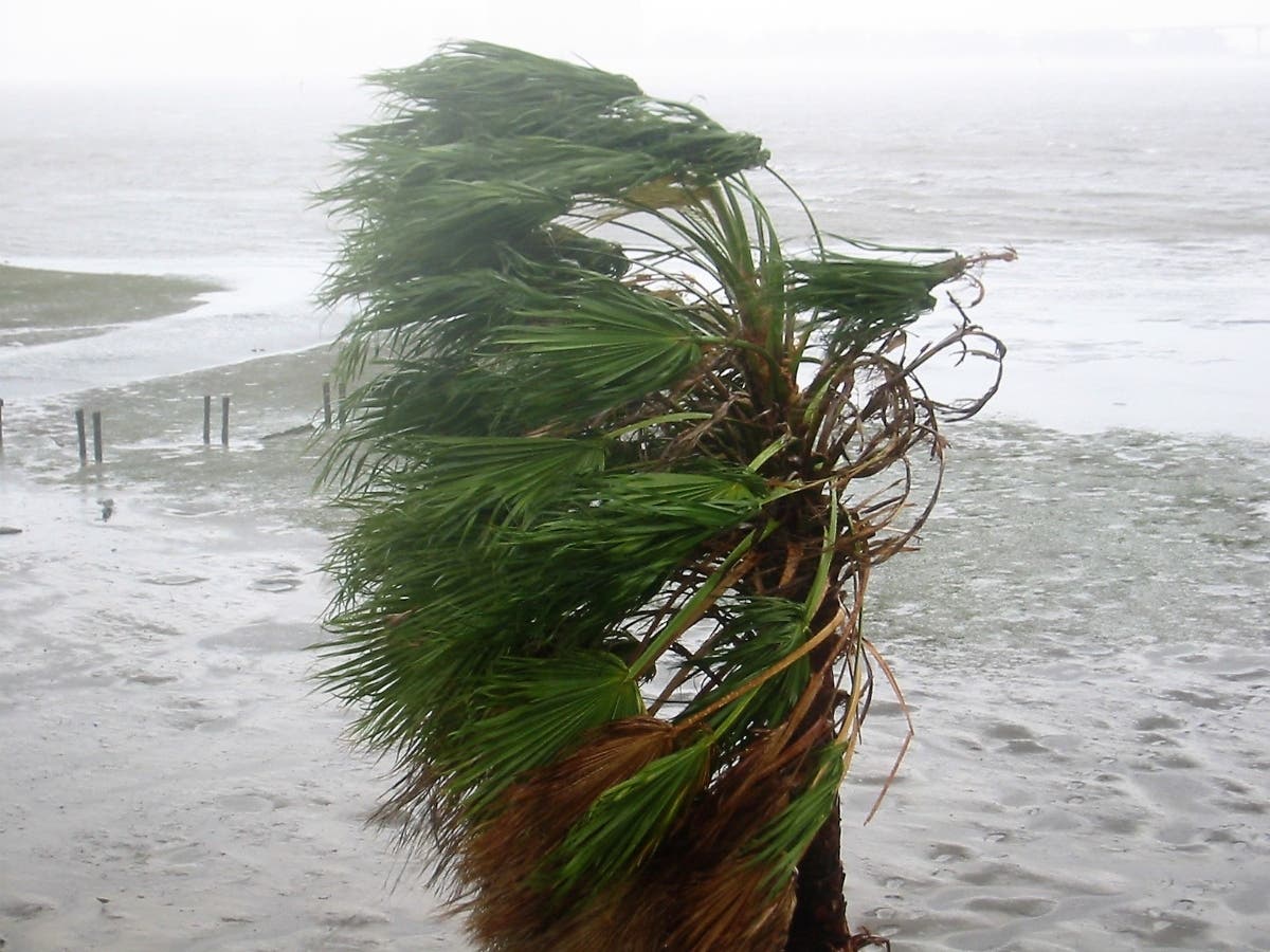 Clearwater Beach is pounded by winds and waves during the 2021 hurricane season. Here's a first look at what scientists forecast for the 2022 Atlantic hurricane season.