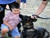 K-9 Krys get some attention from an admirer. 