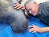 Jeff Corwin and the "Wildlife Nation" TV production crew visit the David A. Straz Jr. Manatee Critical Care Center in July to do a show that aired Oct. 30.