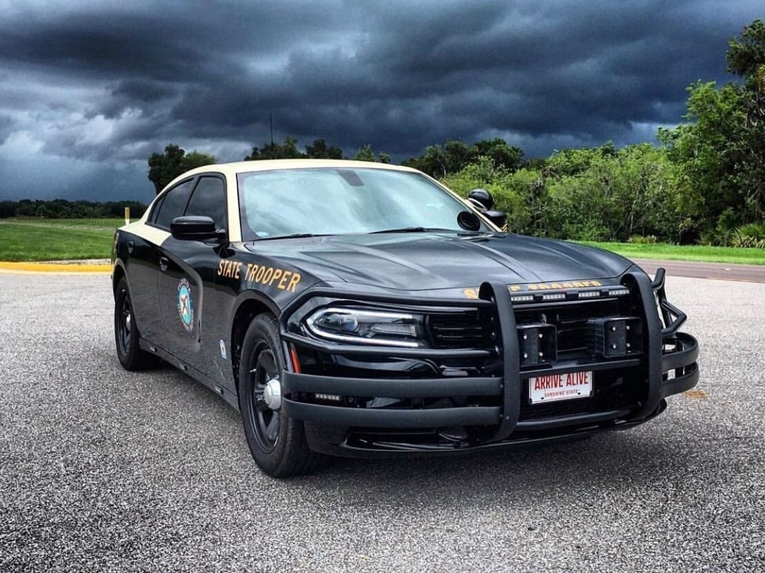 A 45-year-old motorcyclist from Zephyrhills died after hitting an armadillo in the road.