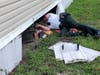 During the heavy thunderstorms Thursday night, a frightened dog seeking shelter crawled beneath a home and into an air duct, where the dog became stuck. 