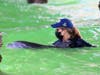 A member of the Clearwater Marine Aquarium rescue team holds the dolphin calf in the shade beneath Pier 60. 