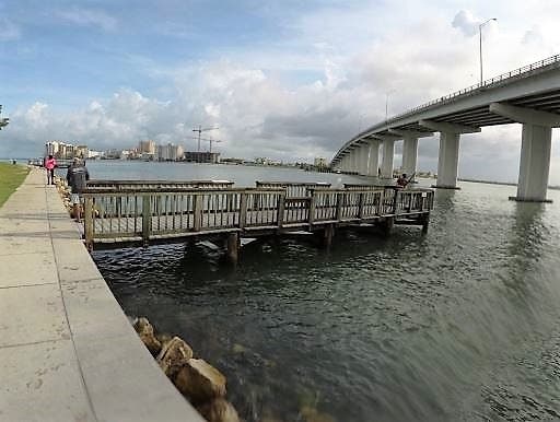 A dive inspection shows the docks are no longer safe due to an infestation of boring and shipworms. 