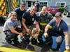 Hillsborough County firefighters poses with a dog they saved from an apartment fire Wednesday.