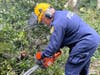 Tampa police chainsaw crews were out early Thursday morning helping to clear downed trees. 