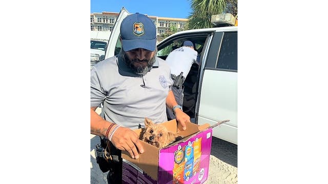 'Lost In The Storm': Pets Missing, Reunited After Hurricane Ian | Tampa ...