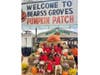 A group of children from Steps to Maturity, an Early Learning Coalition of Hillsborough County provider, were the first to experience Florida’s largest pumpkin. 