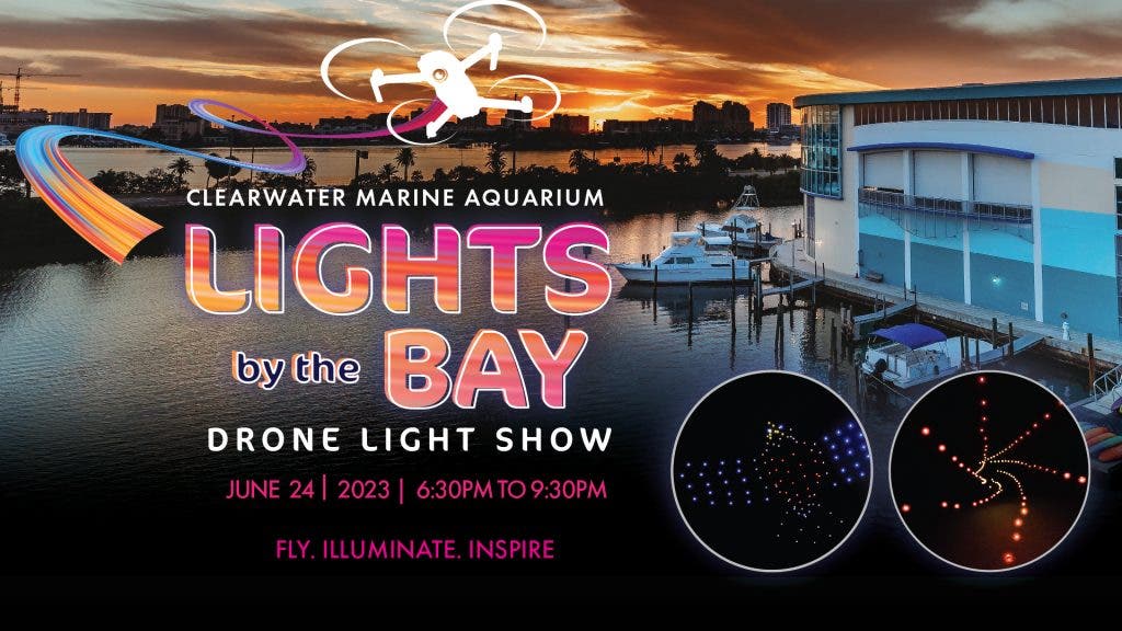 Palm Harbor Events Calendar for June 9, 2023 - Palm Harbor, FL Patch Palm Harbor Events Calendar for June 9, 2023 - Palm Harbor, FL Patch