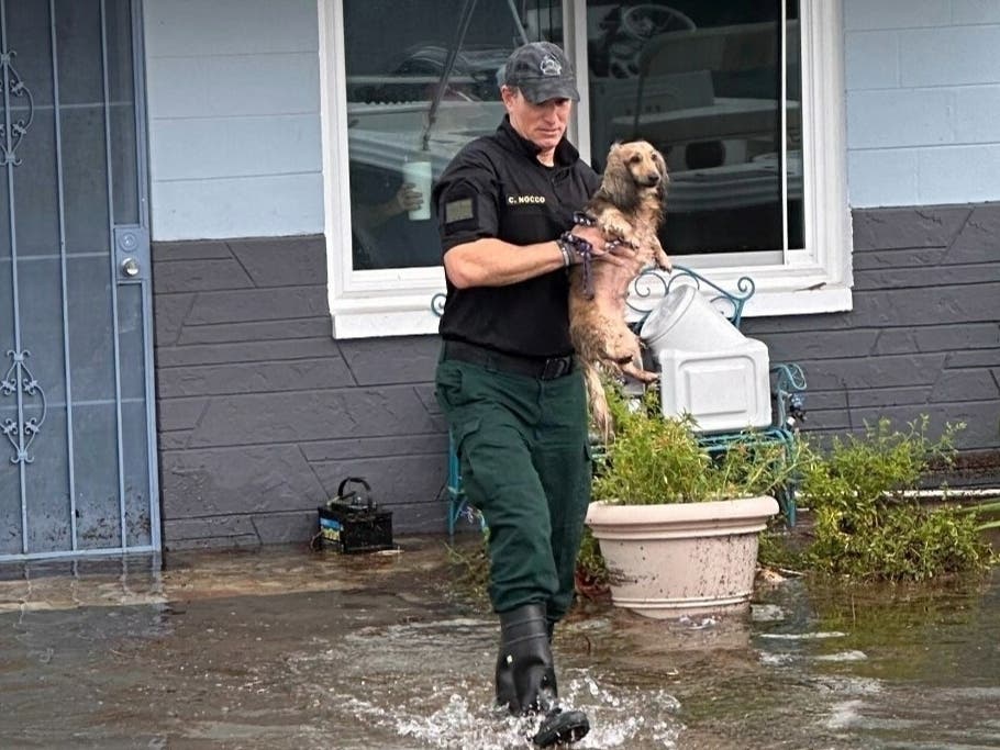 Hurricane Idalia-Impacted Pets In Florida Take Flight To New Homes ...