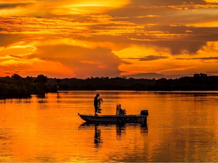 HalfPrice State Park Passes, FL Hunting And Fishing Licenses Offered