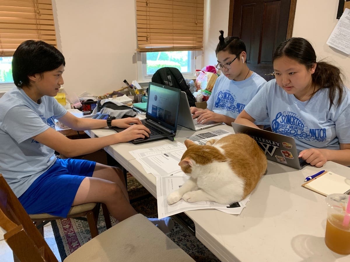 News small post card thumbnail