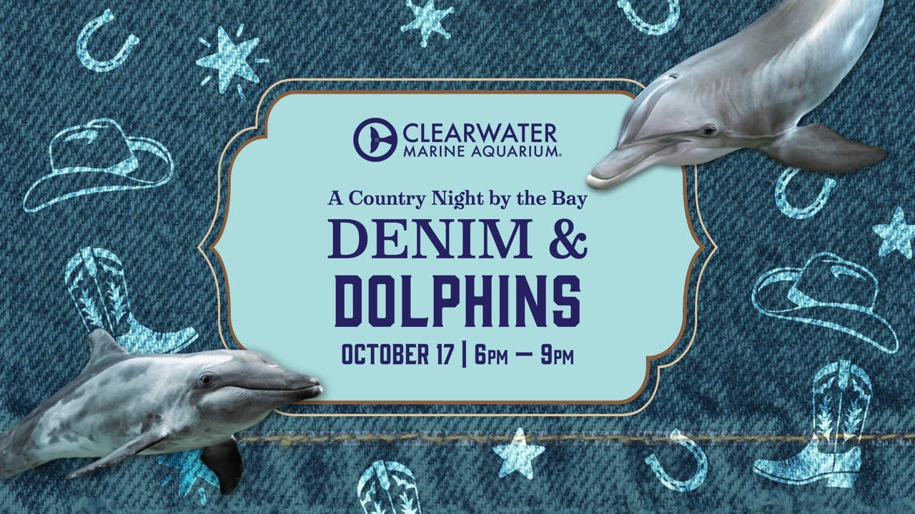 Clearwater Marine Aquarium Hosts Denim & Dolphins: Country Night by the Bay, Oct 17