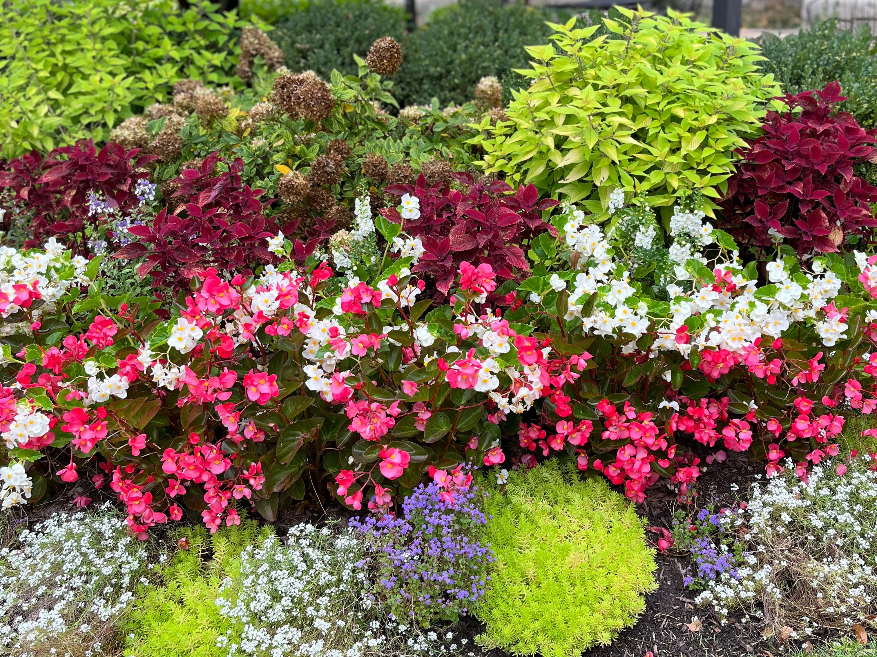 Meadow Brook Garden Club Invites New Gardeners