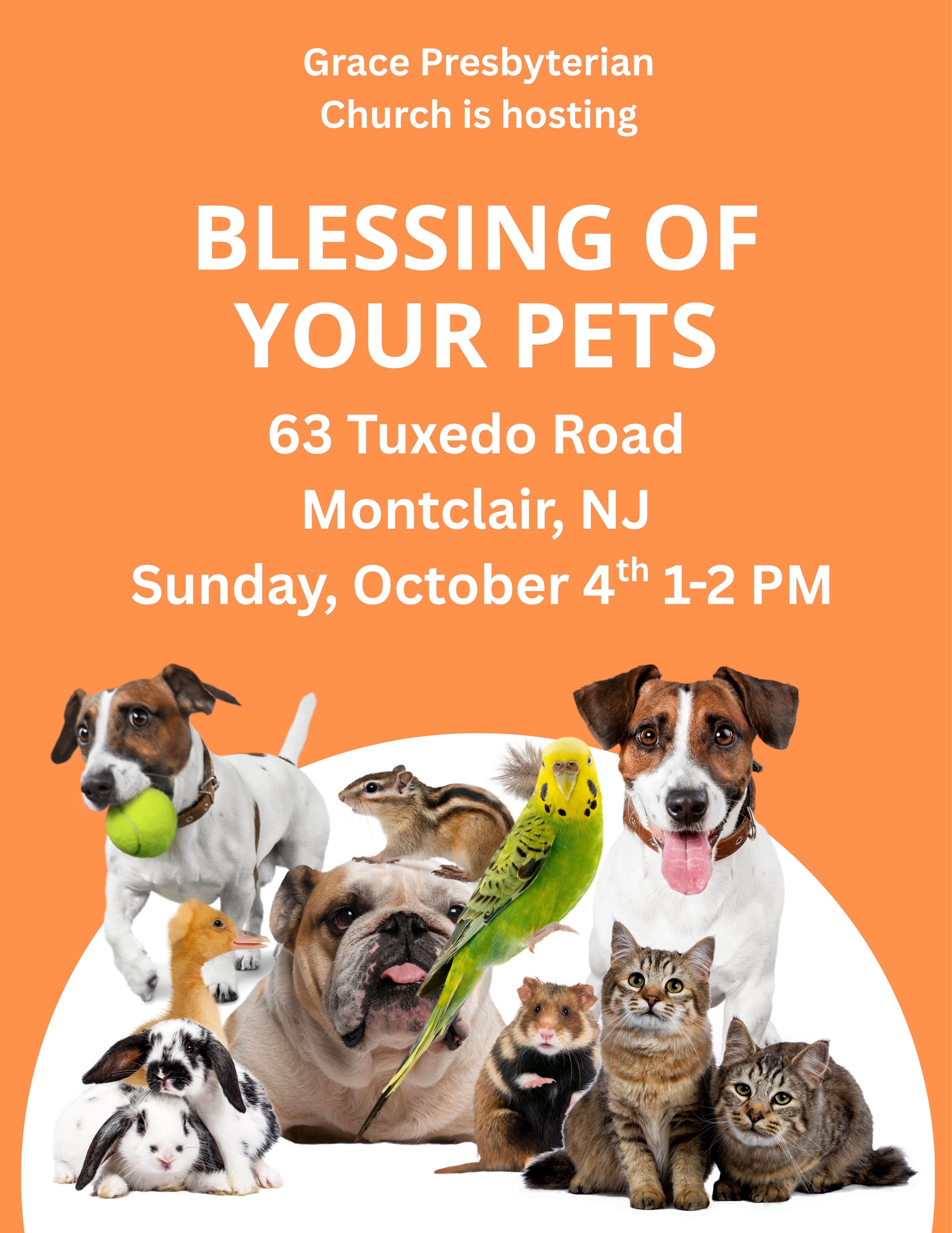Grace Presbyterian Church Blessing of the Pets