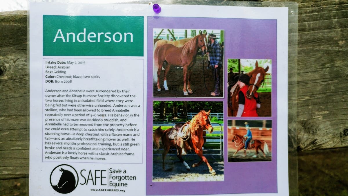 Anderson Anderson