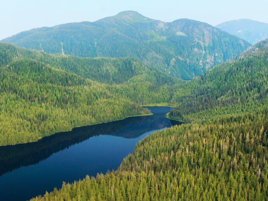 Attorney General Becerra is leading a coalition opposing attempts to weaken Tongass National Forest protections