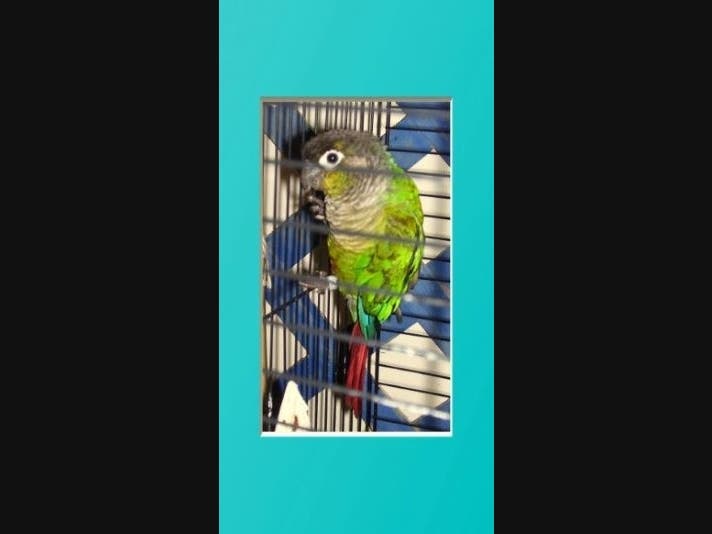 News small post card thumbnail